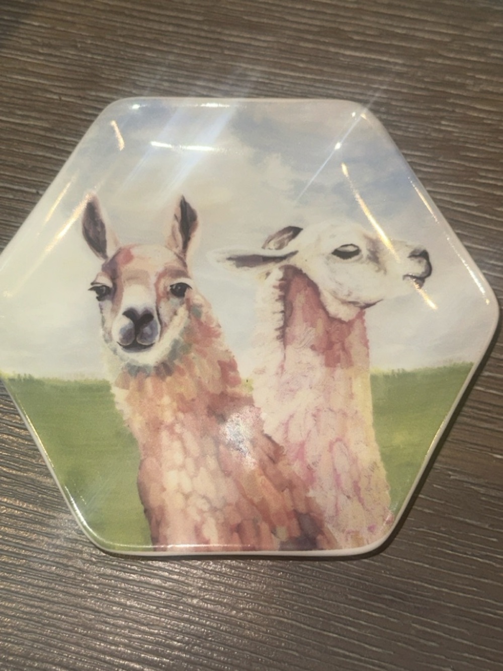greenBOX Art + Culture Llama Dish